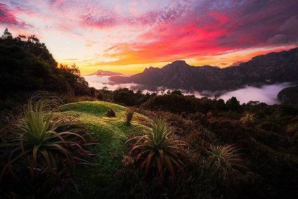 Insula Tasmaniei, restul pe insule