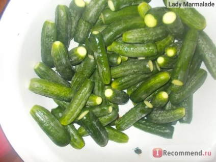 Legume castravete - 