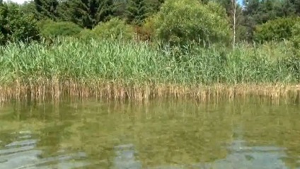 Lake Naroch, Belarussia (14 poze, descriere, harta)