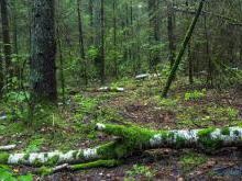 A tó teljesen fehér, a belorusz tenger, a tó legendái, a naroch, a fotó történet, a többi a sziklákon