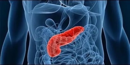 Pancreasul provoacă obezitatea, simptomele și tratamentele - secrete de sănătate