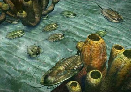 Epoca paleozoică este dispărută