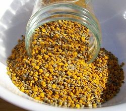 Bee pollen a testépítésben