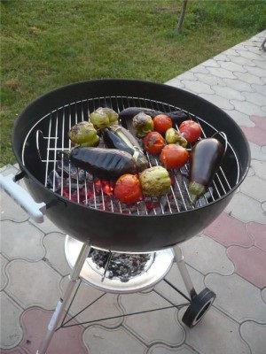 BBQ cuptor cu propriile mâini pas cu pas instrucțiuni pentru a crea un cuptor de cărămidă