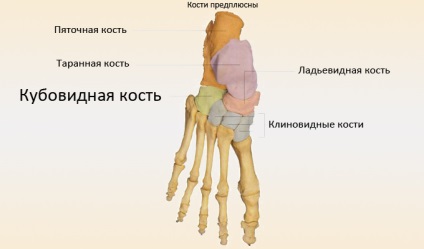 Fractură a piciorului cât de mult să umble într-o castă, simptome, tratament