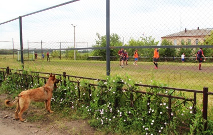 Fan-băiatul a ajutat echipele din liga de fotbal amator din districtul Armatei Roșii în turul doi