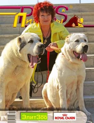 Kennel de furtună bayaz câini