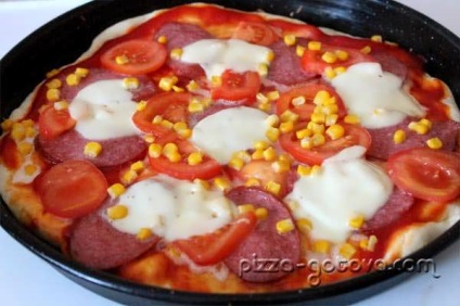 Pizza cu mozzarella - rețetă cu fotografie
