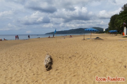 Plaja Karon, Phuket