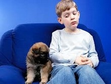 De ce copiii se tem de animale?