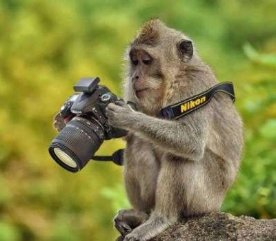 De ce blogul nu are fotografiile mele - privirea din munți este o viață simplă