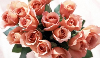 Miért annyira szeretik a nőket a rózsák?