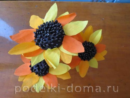 Floarea-soarelui din semințe de floarea soarelui și hârtie (clasa de master), o cutie de idei și clase de master