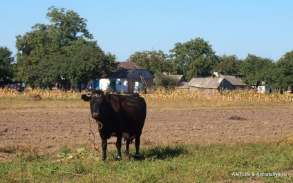 Adevărul vieții satului ucrainean