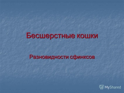 Презентація на тему безшерсті кішки різновиди сфінксів