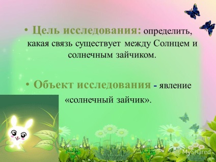 Prezentare pe tema muncii de cercetare - un bunny însorit - autorul lucrării Pakhotinsky Serghei