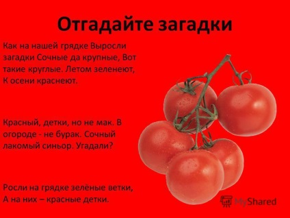 Prezentare pe tema I - Tomato semnătura