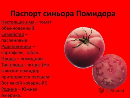 Prezentare pe tema I - Tomato semnătura