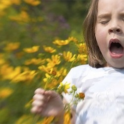 Cauzele sinuzitei maxilare la adulți și copii de la rinită până la psihosomatic, totul despre sinuzită