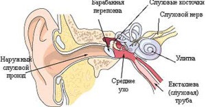 Cauzele și simptomele otosclerozei - când este necesară intervenția chirurgicală