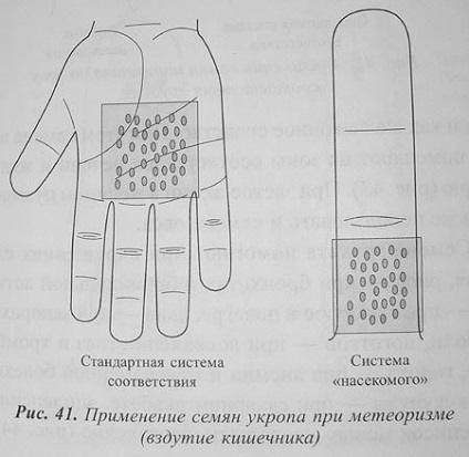 Principii de asemănare a formei și proprietăților semințelor de plante și utilizarea acestora în terapia su-jok