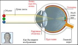 Proiect privind 