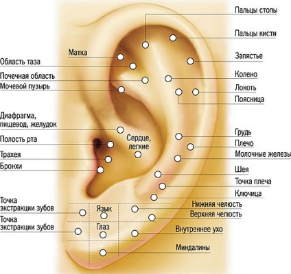 Piercing pentru urechi