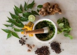 Plante antiinflamatoare