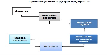 Calculul rețelei pentru o capacitate maximă - informatică, programare