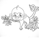 Színező majom