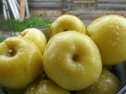рецепта кисели ябълки, как да приготвят вкусни кисели ябълки дома