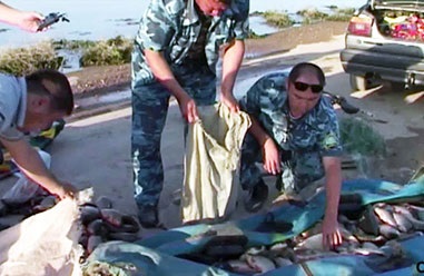 A halászok kifogott csalit kaptak