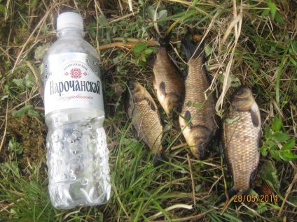 Pescuitul meu pe lac este deliberat (Belarus)