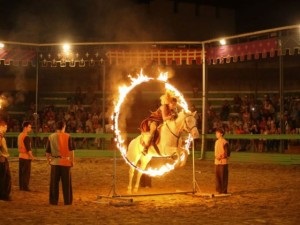 Cetatea lui Knight în capul sucului leului