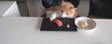 Un rulou de sushi japonez de gătit pentru sigiliile nerăbdător, a marcat un milion de vizionări pe YouTube