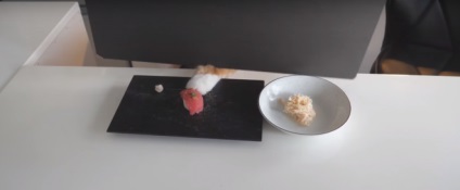 Un rulou de sushi japonez de gătit pentru sigiliile nerăbdător, a marcat un milion de vizionări pe YouTube
