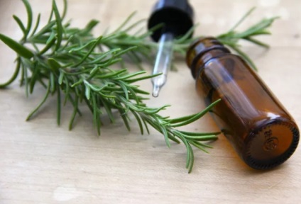 Rosemary - a fű, illóolaj, illóolaj előnye és káros hatása