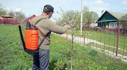 Tipuri de pulverizatoare de grădină, sfaturi cum să alegi, auto-asamblare