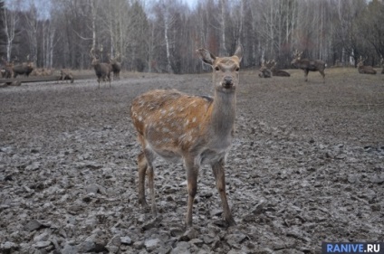 Cele mai unice locuri din Ural