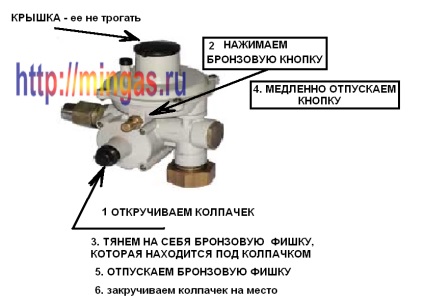 Punerea în funcțiune independentă a autorității de reglementare a gazelor de uz casnic, gaz natural pentru dumneavoastră