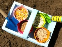 Secretele de alimentare de toamnă în grădină, grădinar (conac)