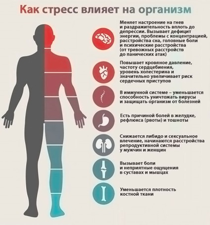 Шість головних причин інфаркту міокарда у чоловіків і жінок