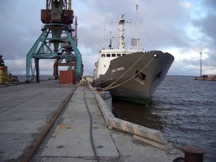 Express container transport în Rusia