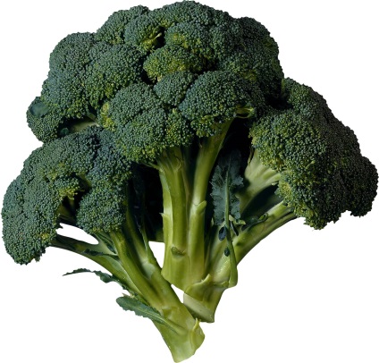 Broccoli varza