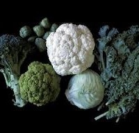 Broccoli varza