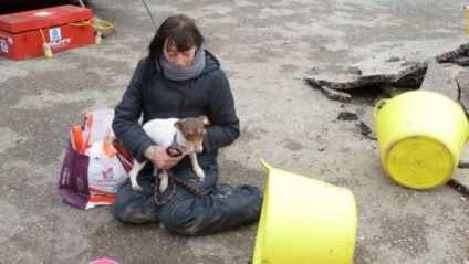 Salvând un câine blocat într-o țeavă adânc în pământ - jo-te-ți locul la soare