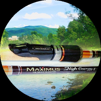 Spinning maxim, catalog de modele cu prețuri și recenzii