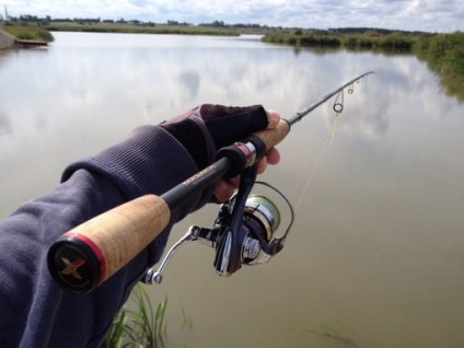 Spinning maximus - a legjobb a twitching, jig, ultralight, ár és felülvizsgálat