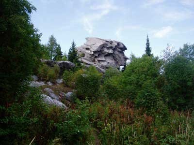 Piatra omului vechi (rezervatia Wysima) - retea sociala