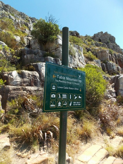 Table Mountain